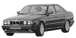 BMW E34 P1087 Fault Code